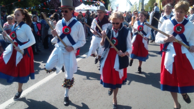 Green Horse Morris with Jockey in Brussels - May 2016